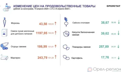 Динамика цен по данным Орёлстата