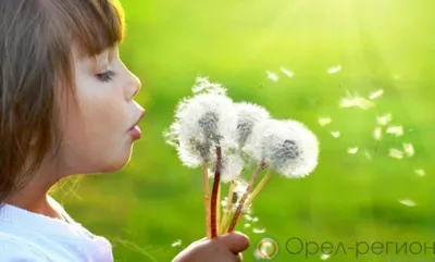 В 2021 году на реализацию регионального проекта «Финансовая поддержка семей при рождении детей» нацпроекта «Демография» предусмотрено 1,529 млрд рублей