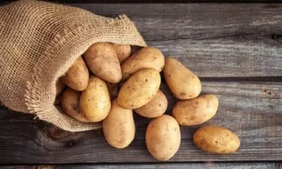 В Орловской области ликвидировали 231 карантинную фитосанитарную зону