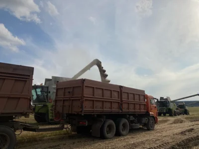 Аграрии Ливенского района убрали почти 90 % зерновых