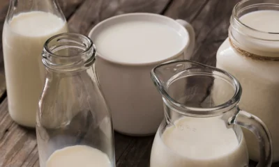 Орловское предприятие делало молоко и ряженку из воздуха