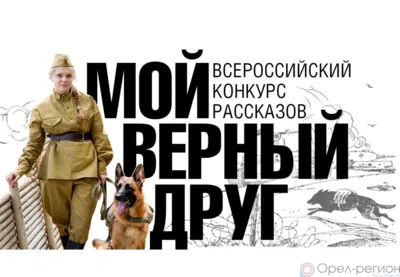 Орловцы могут принять участие в двух конкурсах, посвящённых Дню фронтовой собаки