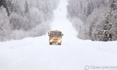 Рубрика «Компас в мире вопросов»