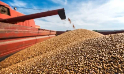 Из Орловской области экспортировано почти 50 тысяч тонн зерна и продуктов его переработки