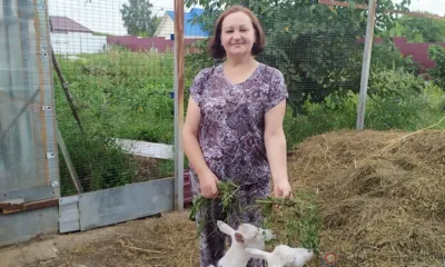 Новосёлы из Новосёлово