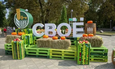 В Орле проходит фермерский фестиваль «СВОЁ». Фоторепортаж