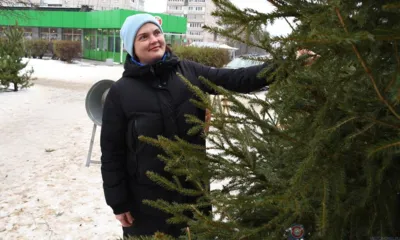 В Орле с 15 декабря начали работать ёлочные базары