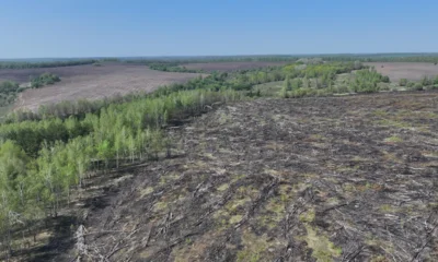 Орловский Россельхознадзор обследовал более 1000 га земель сельхозназначения с помощью БПЛА