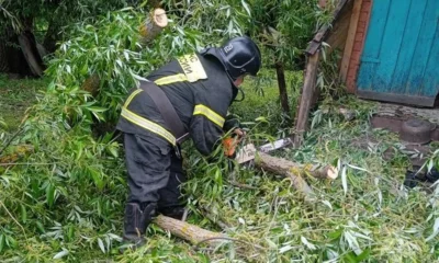 В Хомутово из-за сильного ветра дерево упало на жилой дом