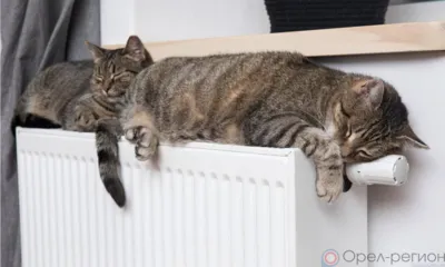 В части Северного района Орла на несколько часов отключили отопление