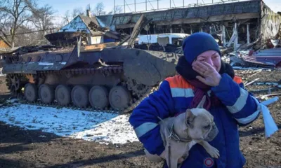 Итоги недели...