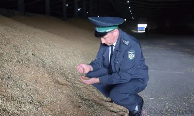 Из Орловской области экспортировано 162 тысячи тонн подкарантинной продукции