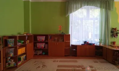 Недетские проблемы детских учреждений Орловщины