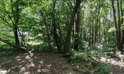 Жители Северного района получат новую дорогу и парк с освещением и детскими площадками