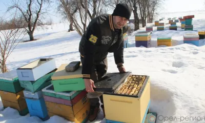 Правильный мёд