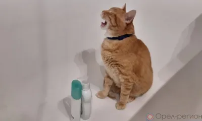 Жителям Орла сообщили об отключении воды и электричества