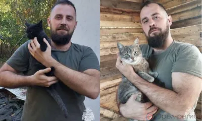 Кошка Маруся из Орла больше года служит в зоне СВО