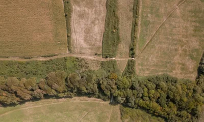 Космические технологии помогли орловскому Россельхознадзору найти заброшенные земли