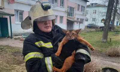 Фото 3. Безопасность орловцев обеспечивают около тысячи сотрудников МЧС