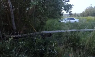 Под Орлом водитель Mitsubishi въехал в дерево