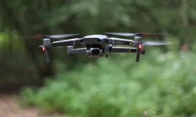 В этом году в Орловской области удалось не допустить лесных пожаров