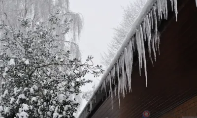 В Орловскую область придут осадки и мороз