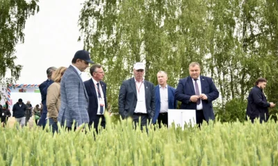 Фото 6. Сила и слава русского поля!