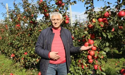 Первые шаги по возрождению знаменитых глазуновских садов сделаны с использованием интенсивных технологий