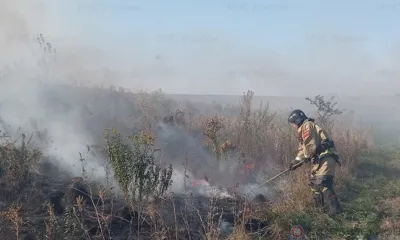 Орловские пожарные потушили 10 га горящей травы
