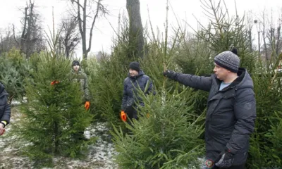 Ёлочный десант в Орле