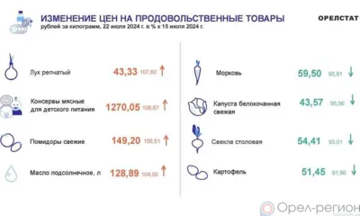 Динамика цен по данным Орёлстата