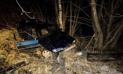 В Болховском районе легковушка съехала с дороги и врезалась в дерево