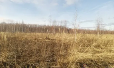 В Орловской области выявили более тысячи гектаров неиспользуемых земель