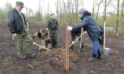 Живая память о героях: губернатор Орловской области Андрей Клычков принял участие в акции «Сад памяти»