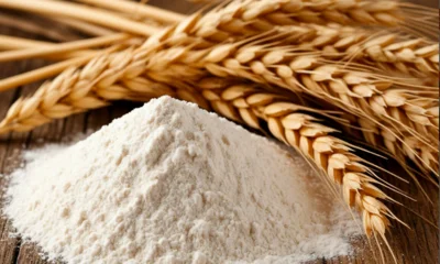 Экспорт муки из Орловщины в Беларусь увеличился на 24 %