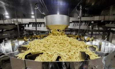 В Орловской области планируют производить картофель фри для «Вкусно - и точка»