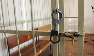 Орловский суд заключил под стражу пенсионерку, ударившую правнука
