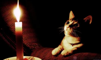 Сегодня в Орле частично отключили воду и свет