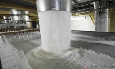 На Орловщине в прошлом году произвели рекордное количество сахара