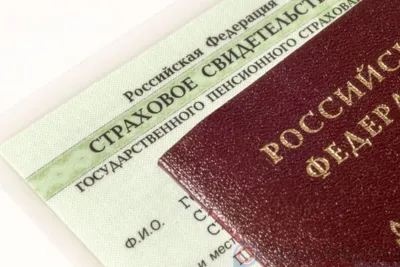 С начала года были оформлены СНИЛС на более трёх тысяч новорождённых Орловщины