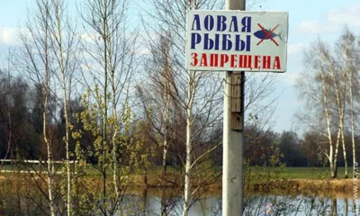 На орловских водоёмах вводятся ограничения на рыбную ловлю