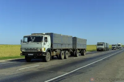 В Орловской области экспорт кормов и кормовых добавок превысил импорт более чем в 50 раз