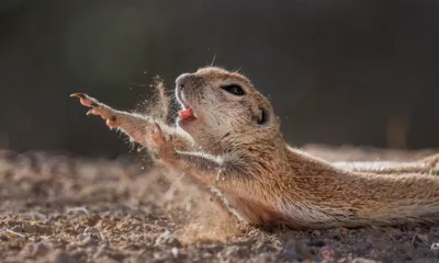 На Орловщине ожидаются порывы ветра до 20 м/с