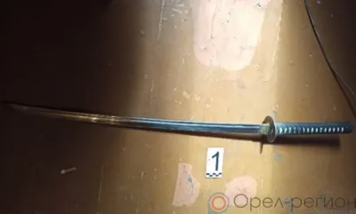 Орловец ударил знакомого катаной прямо в сердце