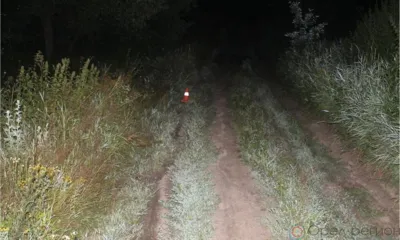 В Дмитровском районе девушка упала с мотоцикла