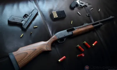 В Орловской области выявили 20 случаев незаконного оборота оружия и боеприпасов