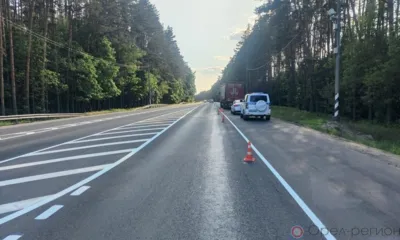 Под Орлом 86-летний мужчина попал под колёса КамАЗа