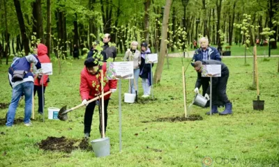 Орловщина 19 апреля присоединится к акции «Сад памяти»