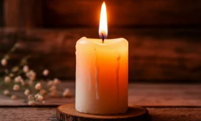 Три СНТ в Орле остались без света