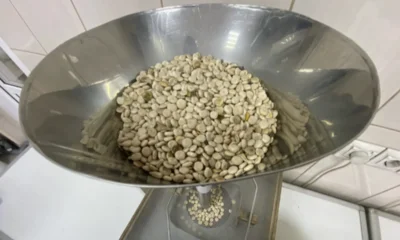 Орловский люпин отправят в Курскую область